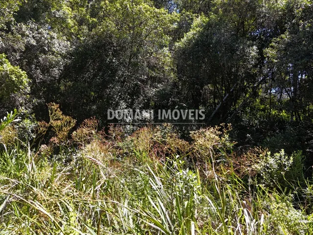 Imagem 16: Terreno - Campos do Jordão