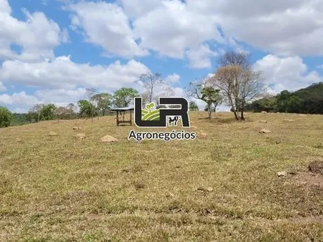 Imagem: Fazenda de 26 Alqueires em Bela Vista de