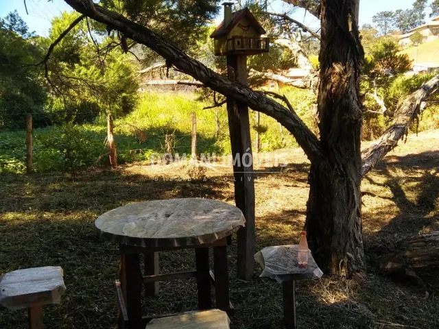 Imagem 5: TERRENO - SANTO ANTÔNIO DO PINHAL