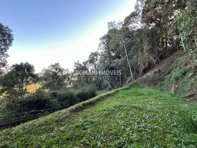 Imagem: TERRENO - CAMPOS DO JORDÃO