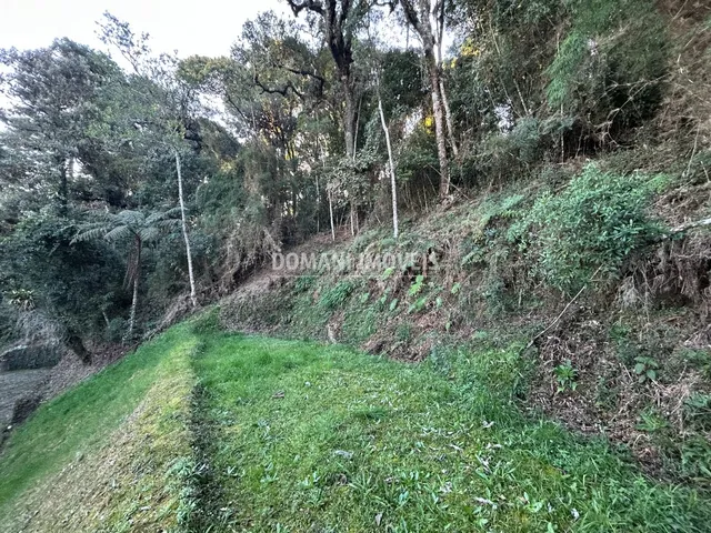Imagem 8: TERRENO - CAMPOS DO JORDÃO