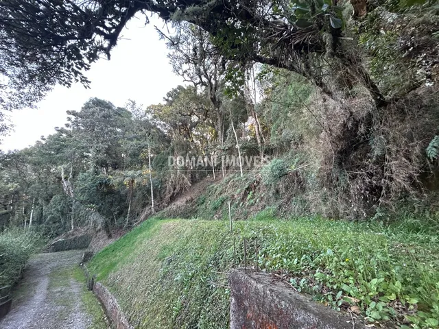 Imagem 12: TERRENO - CAMPOS DO JORDÃO