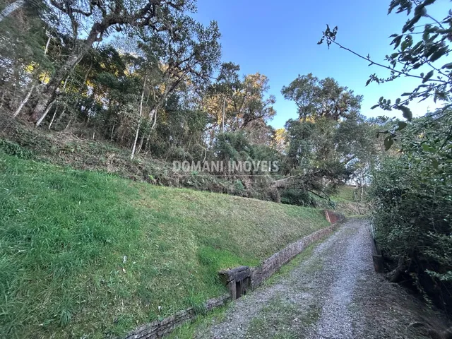 Imagem 15: TERRENO - CAMPOS DO JORDÃO