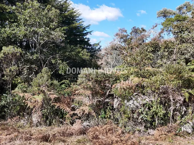 Imagem: Terreno - Campos do Jordão