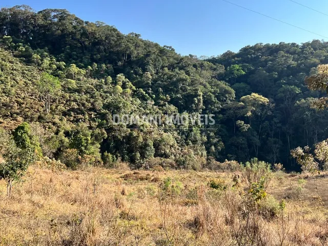 Imagem 5: SITIO - BRAZÓPOLIS