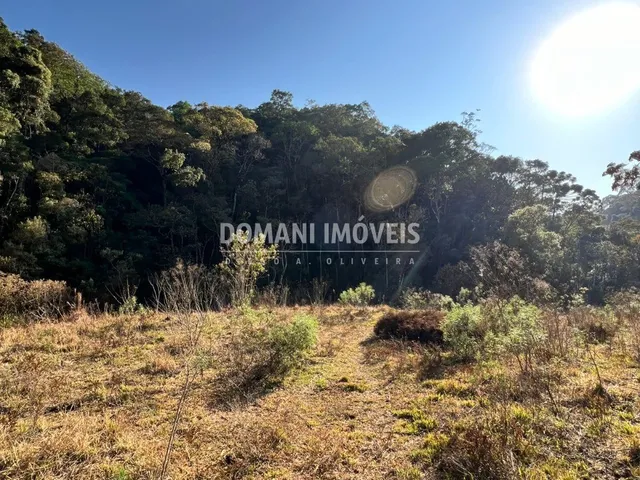 Imagem 9: SITIO - BRAZÓPOLIS