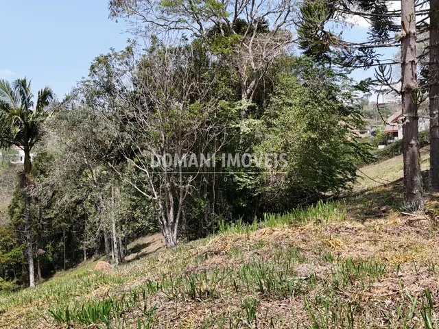 Imagem 11: TERRENO - SANTO ANTÔNIO DO PINHAL