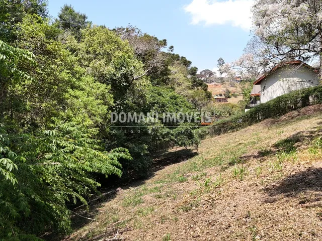 Imagem 12: TERRENO - SANTO ANTÔNIO DO PINHAL