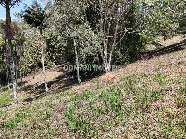 Imagem 6: TERRENO - SANTO ANTÔNIO DO PINHAL