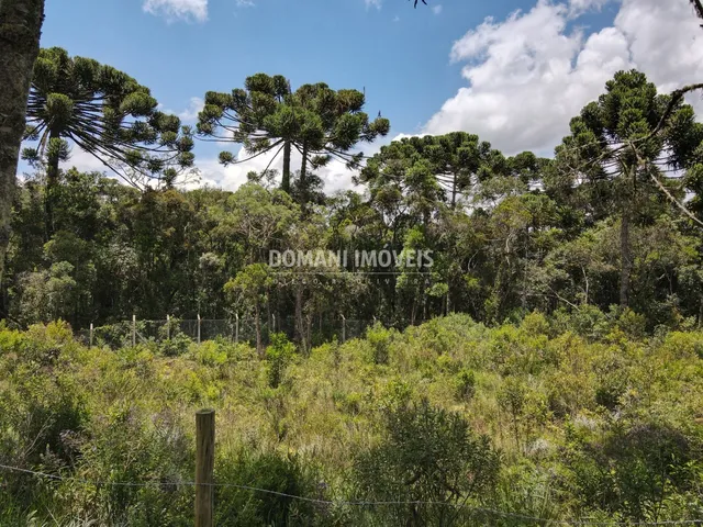 Imagem: TERRENO RESIDENCIAL em CAMPOS DO JORDÃO