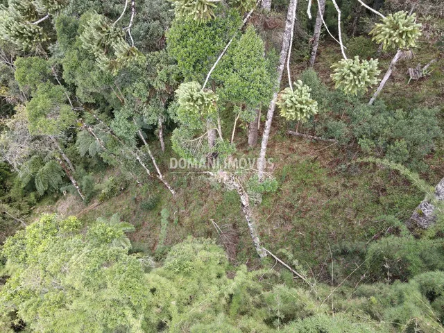 Imagem: TERRENO RESIDENCIAL em CAMPOS DO JORDÃO