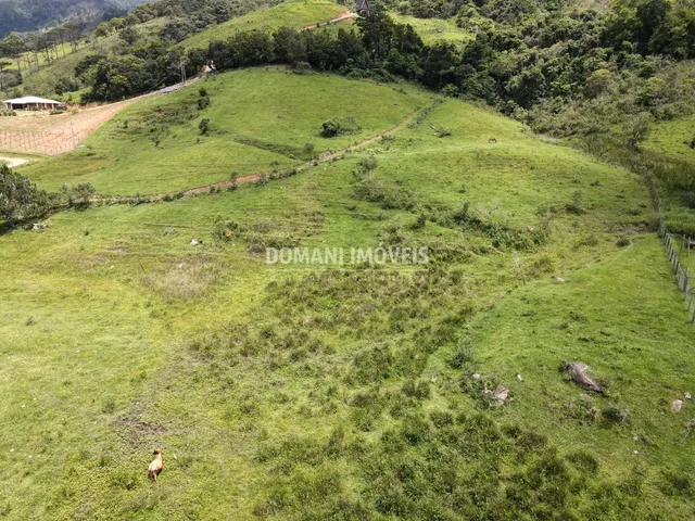 Imagem 13: AREA - SANTO ANTÔNIO DO PINHAL