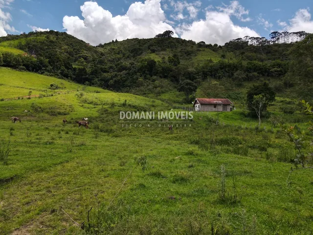 Imagem 14: AREA - SANTO ANTÔNIO DO PINHAL
