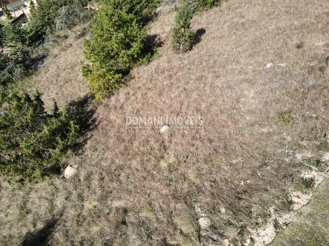 Imagem 11: TERRENO - CAMPOS DO JORDÃO