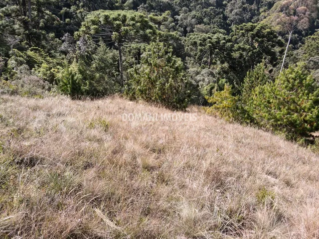 Imagem 2: TERRENO - CAMPOS DO JORDÃO