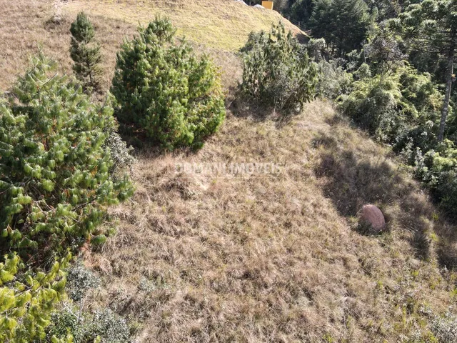 Imagem 7: TERRENO - CAMPOS DO JORDÃO