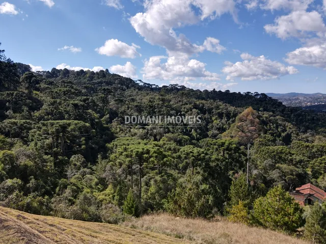 Imagem 8: TERRENO - CAMPOS DO JORDÃO