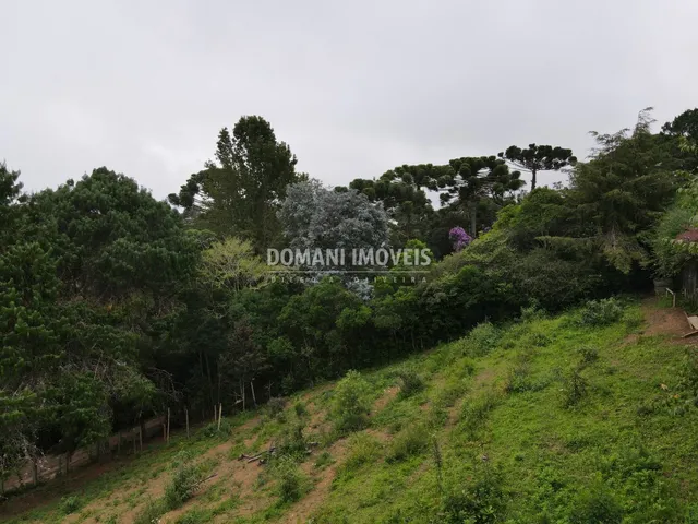 Imagem 7: TERRENO - CAMPOS DO JORDÃO