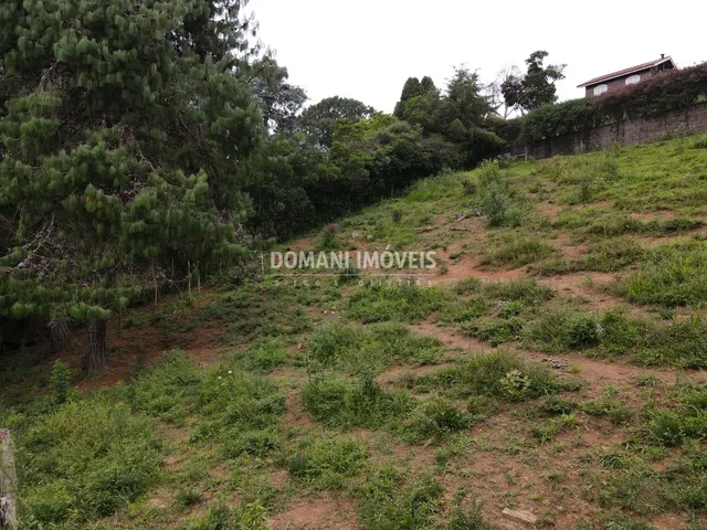 Imagem 2: TERRENO - CAMPOS DO JORDÃO