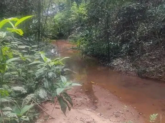 Imagem 5: Chácara 5000 Metros