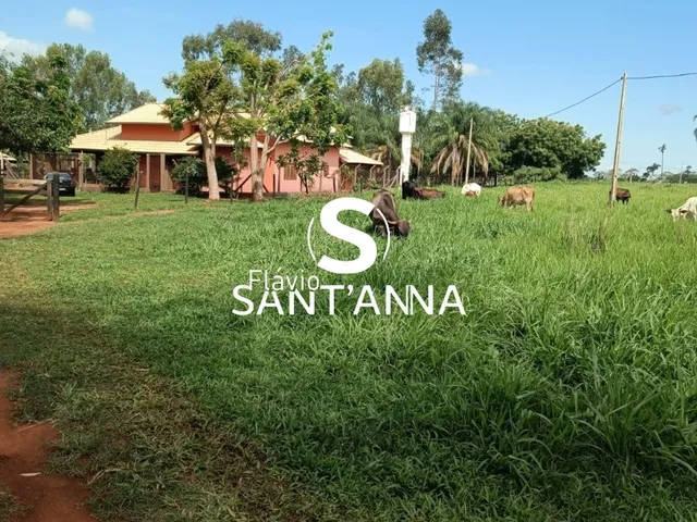Imagem 8: .