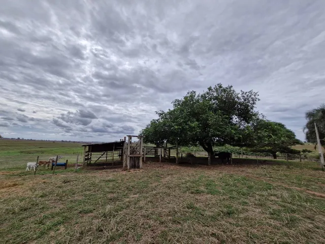 Imagem: Sítio À Venda Macedônia/Sp (Área Rural