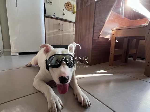 Imagem 5: Apartamento 02 dormitorios com vaga de garagem