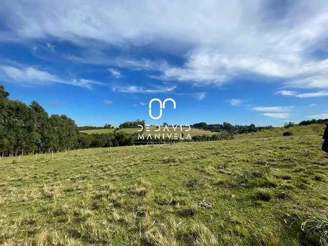Imagem 8: Chácara a 25min do centro de Santa Maria