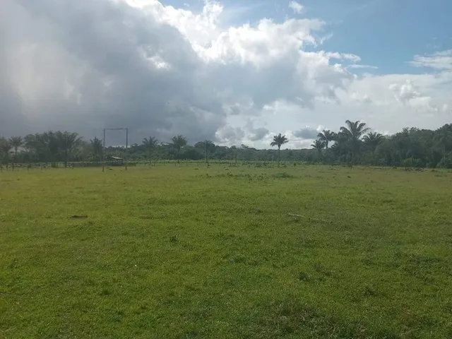 Imagem 3: FAZENDA RURAL em MACAPÁ - AP, BRASIL NOVO