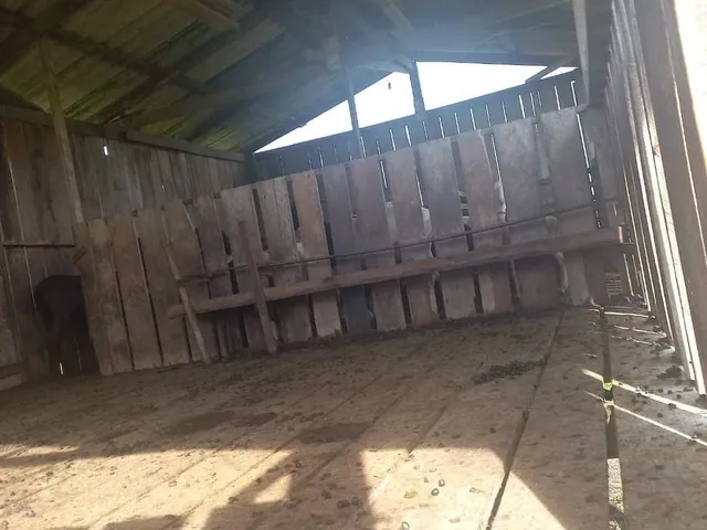 Imagem 6: FAZENDA RURAL em MACAPÁ - AP, BRASIL NOVO