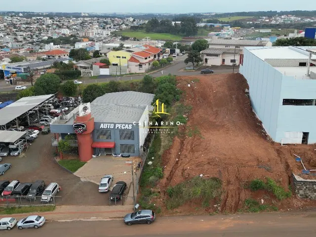 Imagem 1: Terreno - Acesso Plínio Arlindo de Nês