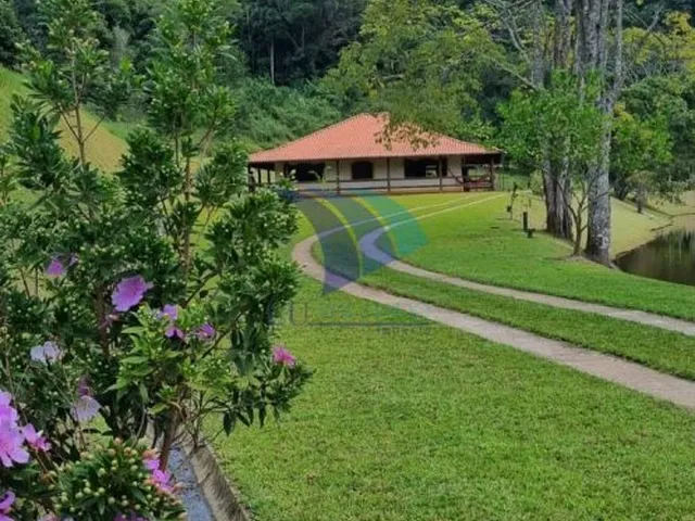 Imagem: COD 1168 - VENDA - Sítio com 6,2 ALQUEIRES