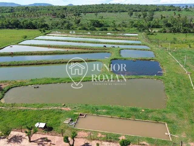 Imagem 6: CHÁCARA / SÍTIO À VENDA COM 5 HECTARES – EXCELENTE ESTRUTURA RURAL