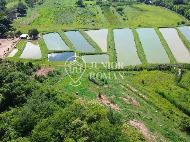 Imagem 9: CHÁCARA / SÍTIO À VENDA COM 5 HECTARES – EXCELENTE ESTRUTURA RURAL