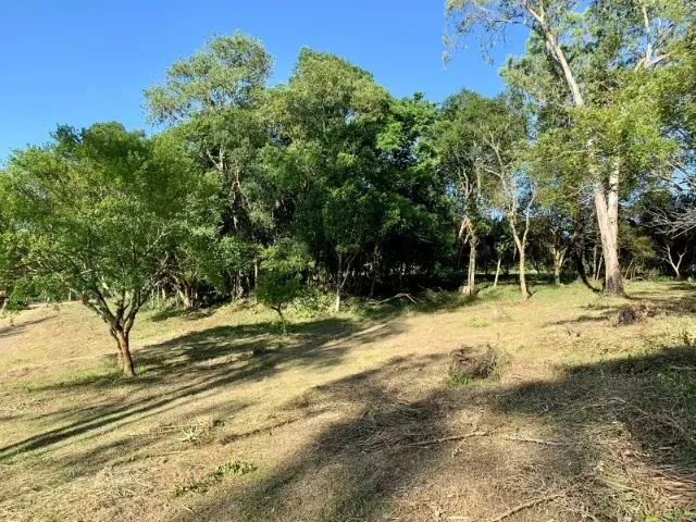 Imagem 3: 51) 9. * - Chacrinha Plana e Arborizada
