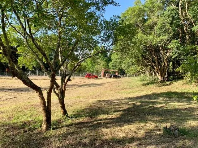 Imagem 4: 51) 9. * - Chacrinha Plana e Arborizada