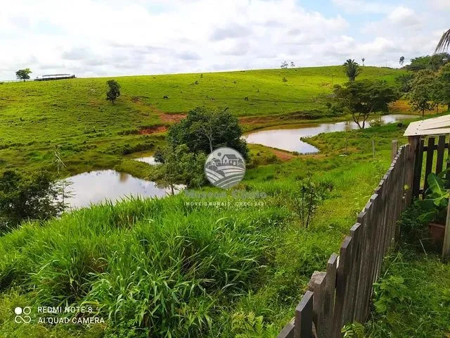 Imagem: Venda - Sítio - Vale do Anari - 25 Alqueires
