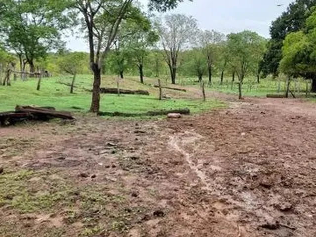 Imagem: A fazenda possui 4.700.000m² de Área e está localizado