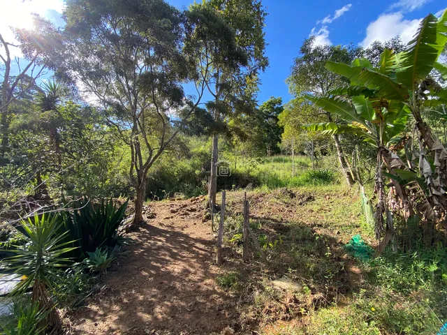 Imagem 6: Chácara em Caldas, MG