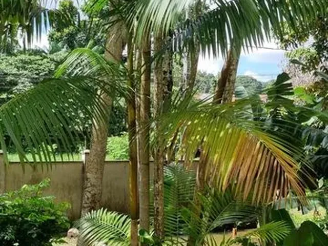 Imagem 12: Amplo Apartamento 02 Dormitórios, Sendo 01 Suíte