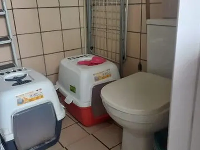 Imagem 10: Apartamento para Venda na Ilha do Leite