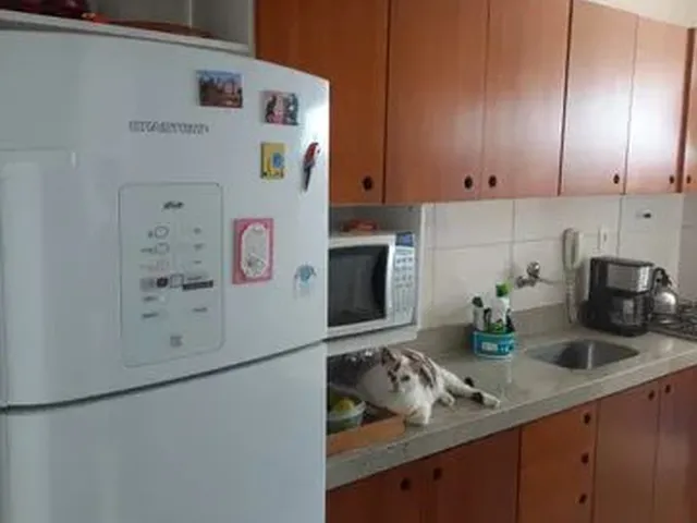 Imagem 3: Apartamento para Venda na Ilha do Leite