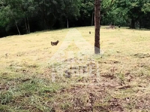 Imagem: Terreno à venda - Cardeal - Elias Fausto/SP