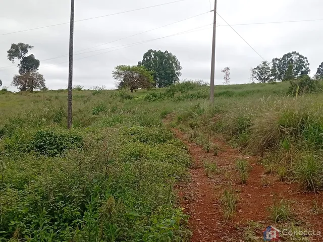 Imagem 8: Fazenda à Venda em Patos de Minas – 6 Hectares na Zona Rural por R$ 1,8 Mi