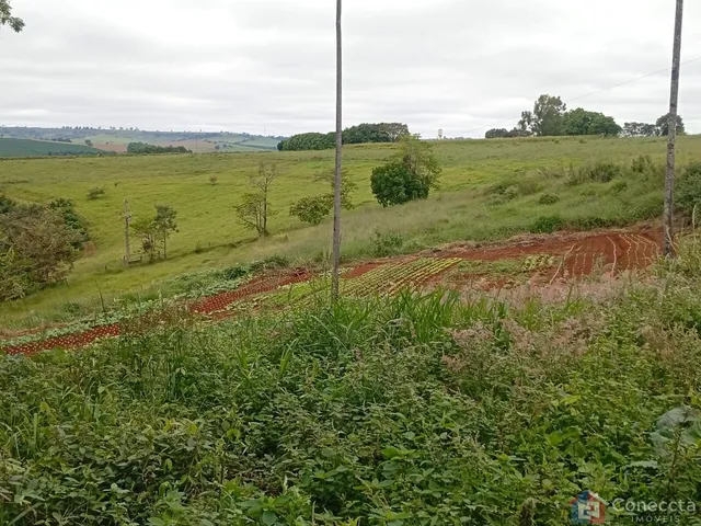 Imagem 15: Fazenda à Venda em Patos de Minas – 6 Hectares na Zona Rural por R$ 1,8 Mi