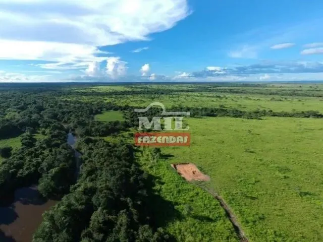 Imagem: Fazenda de 454 Alqueires ( 2.201 Hectares)