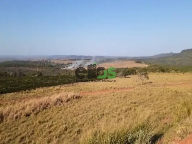 Imagem 10: Fazenda de Dupla Aptidão - AGRICULTURA CAFÉ, EUCALITPO e PECUÁRIA, 1.674 hectares, à