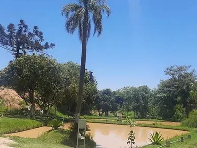 Imagem: Terreno Chácara ( Aparecidinha Sorocaba