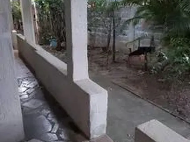 Imagem: Alugo Casa 650 Reais Mensais