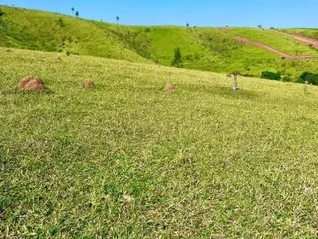Imagem: Terreno com Ruas Abertas em Atibaia